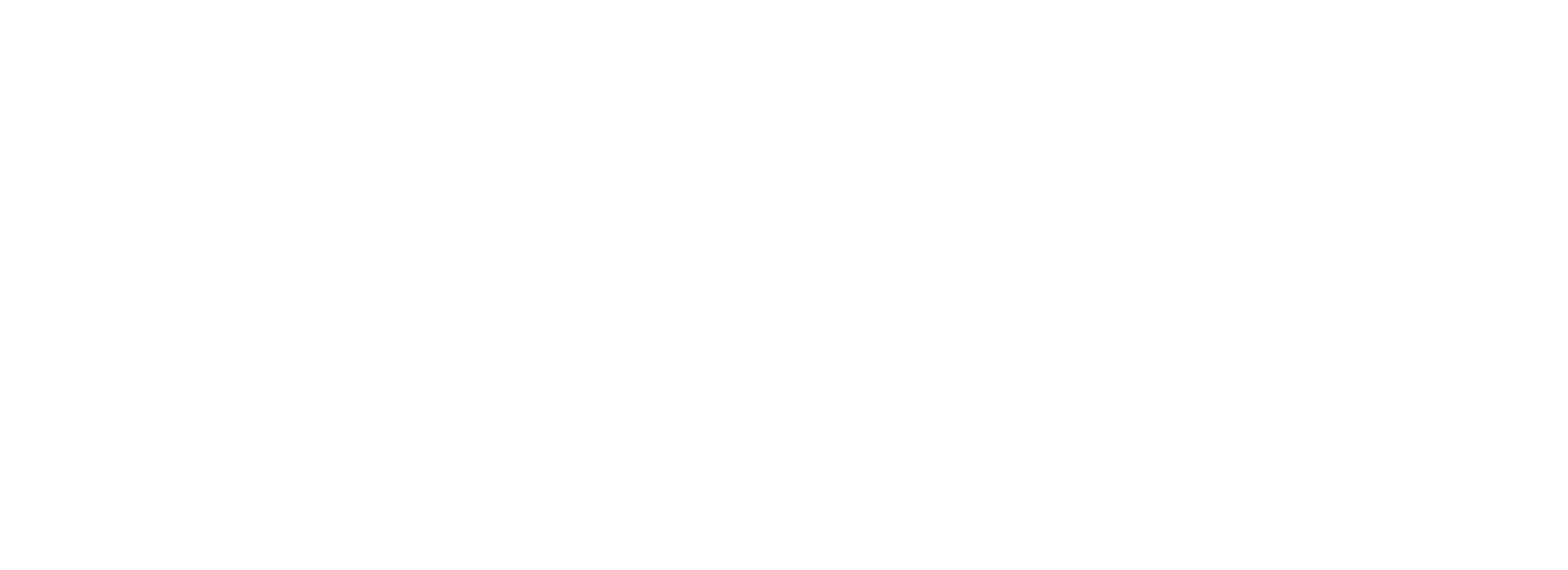 Ticket9 Logo in White